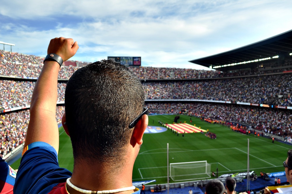 Man cheering and lifting up arm in celebration while looking at a soccer football field from the top of the stadium, image used for Ryan Stoner blog on sports marketing and fans